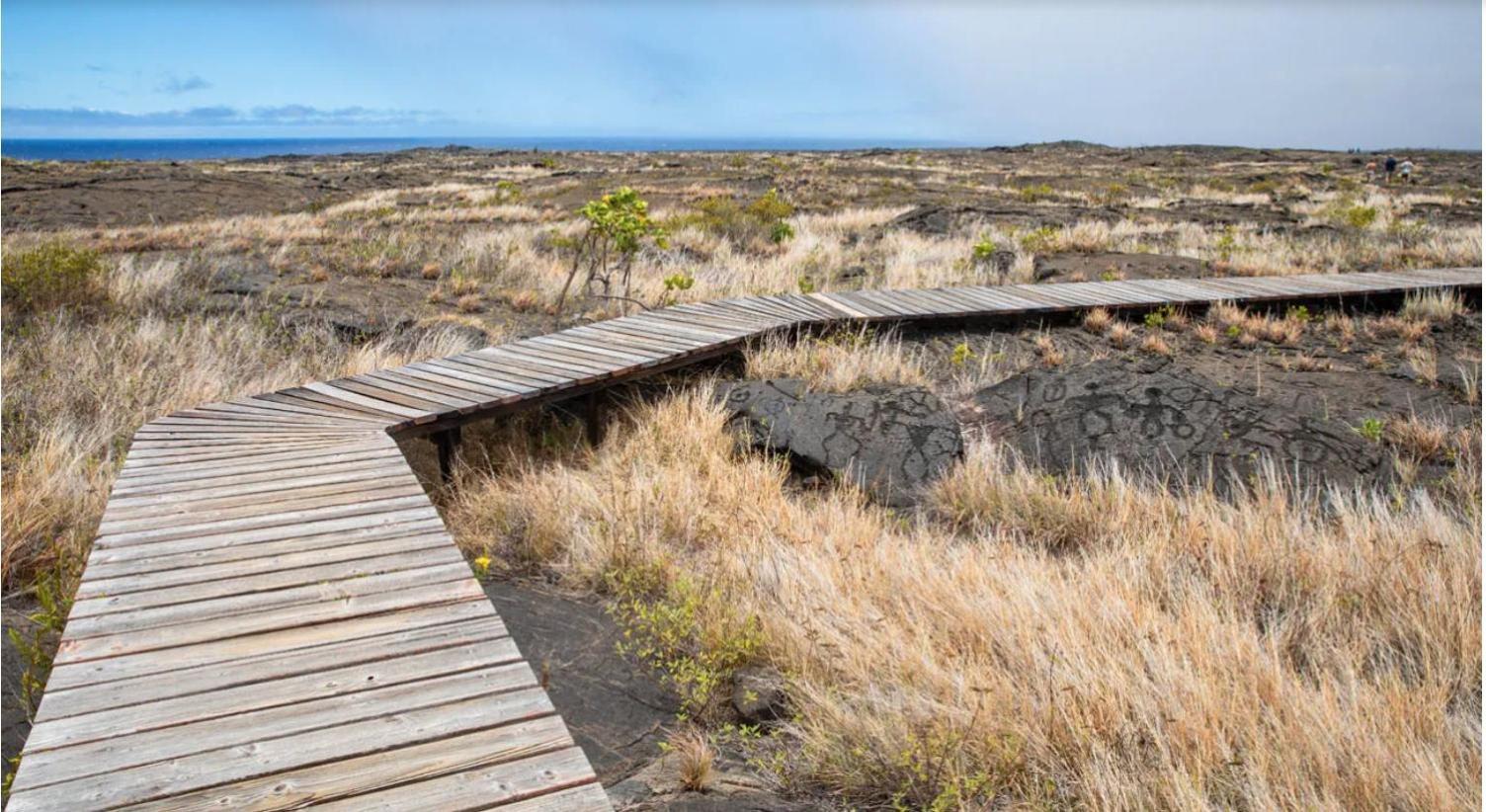 Volcano One - Modern Studio With Lanai Near Volcano National Park المظهر الخارجي الصورة
